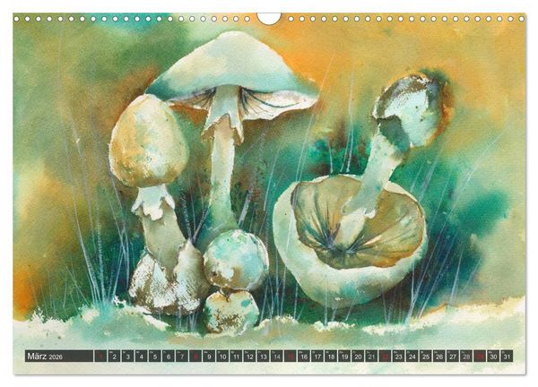 Produktbild: Pilze in Aquarell (Wandkalender 2026 DIN A3 quer), CALVENDO Monatskalender
