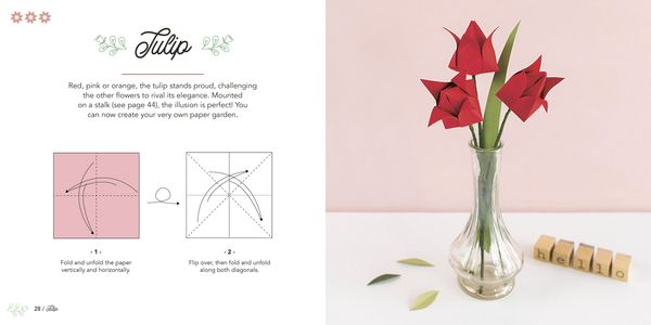 Produktbild: Easy Origami Flowers