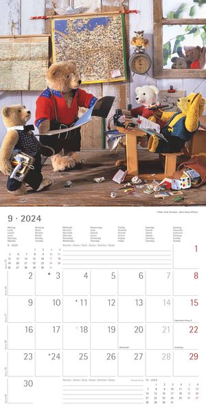  Teddy 2022 - Broschürenkalender 30x30 cm (30x60 geöffnet) -  Kalender mit Platz für Notizen - Bildkalender - Wandplaner - mit  herausnehmbarem Poster : Everything Else