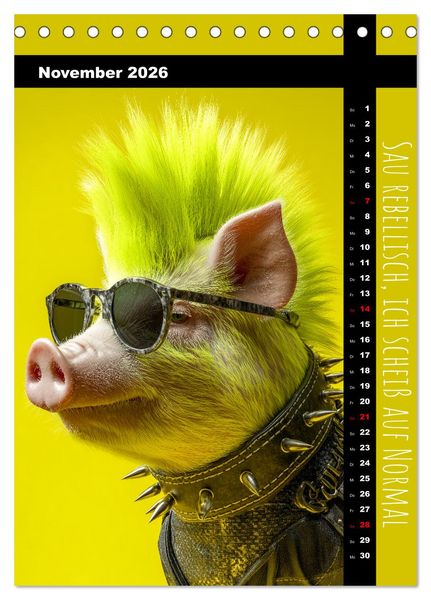 Produktbild: Coole Sau - Lustiger Spr&uuml;che Kalender mit witzigen Schweinchen (Tischkalender 2026 DIN A5 hoch), CALVENDO Monatskalender