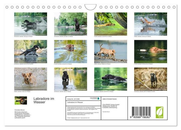Produktbild: Labradore im Wasser (Wandkalender 2027 DIN A4 quer), CALVENDO Monatskalender