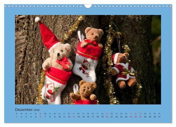 Produktbild: Teddys Meine Freunde (Wandkalender 2026 DIN A3 quer), CALVENDO Monatskalender