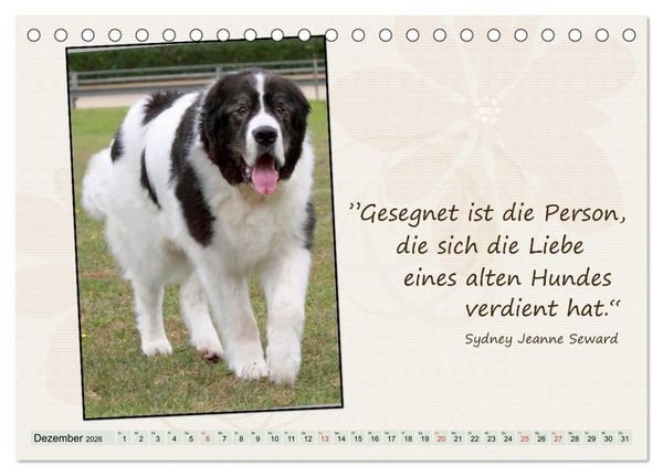 Produktbild: Mit Hundezitaten gut durchs Jahr / CH-Version (Tischkalender 2026 DIN A5 quer), CALVENDO Monatskalender