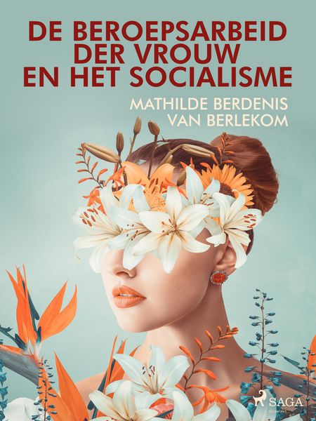 Produktbild: De beroepsarbeid der vrouw en het socialisme