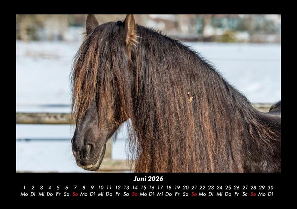 Produktbild: Pferdegefl&uuml;ster 2026 Fotokalender DIN A3