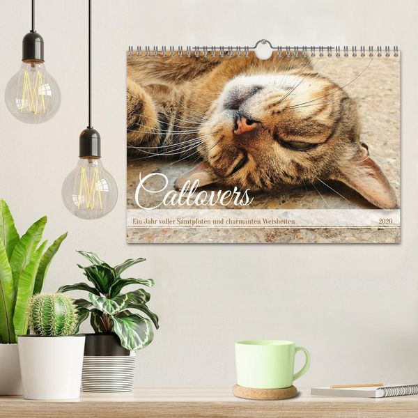 Produktbild: Catlovers - Ein Jahr voller Samtpfoten und charmanten Weisheiten (Wandkalender 2026 DIN A4 quer), CALVENDO Monatskalender