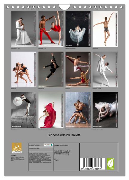 Produktbild: Sinneseindruck Ballett (Wandkalender 2026 DIN A4 hoch), CALVENDO Monatskalender