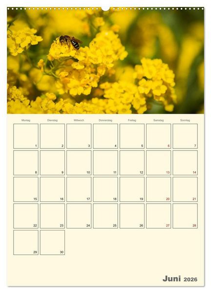 Produktbild: Bienen im Naturgarten (Wandkalender 2026 DIN A2 hoch), CALVENDO Monatskalender
