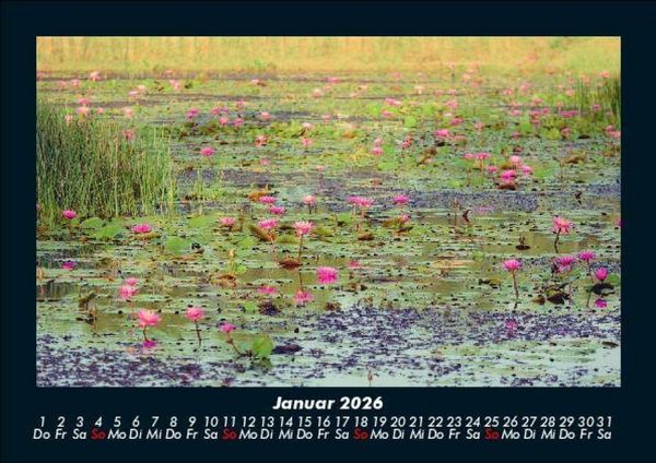 Produktbild: Rosen-Kalender 2026 Fotokalender DIN A5