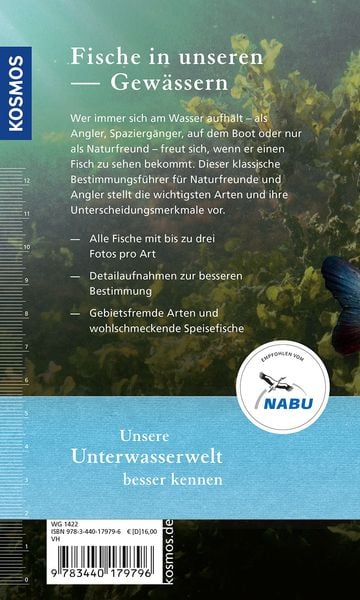Produktbild: Welcher Fisch ist das?