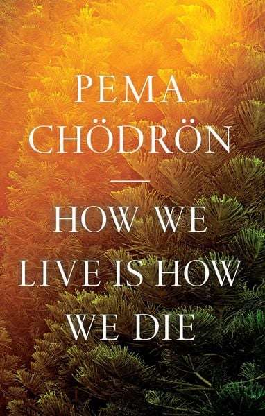 Produktbild: How We Live Is How We Die