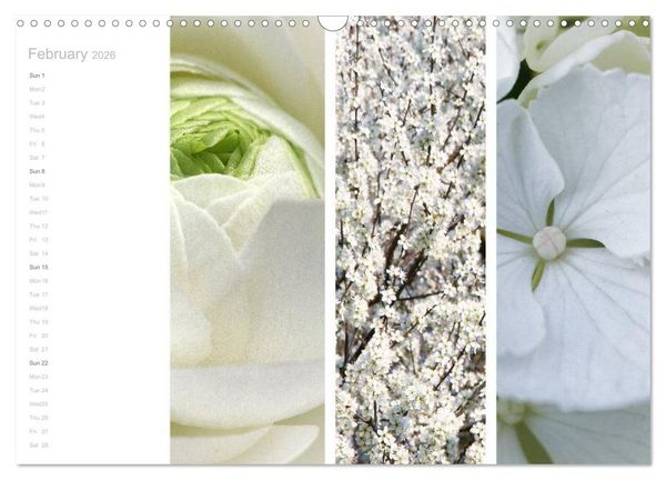 Produktbild: Natural Trios (Wall Calendar 2026 DIN A3 landscape), CALVENDO 12 Month Wall Calendar