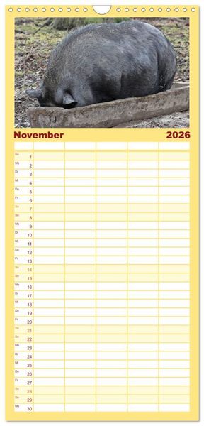 Produktbild: Familienplaner 2026 - Der Schweinekalender mit 5 Spalten (Wandkalender, 21 x 45 cm) CALVENDO