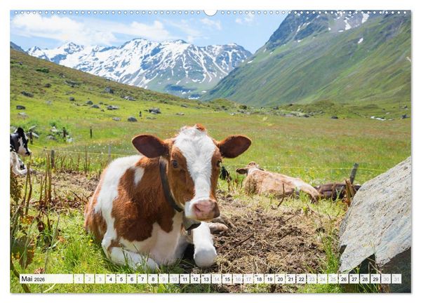 Produktbild: Graub&uuml;ndner Landschaften (hochwertiger Premium Wandkalender 2026 DIN A2 quer), Kunstdruck in Hochglanz