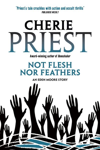 Produktbild: Not Flesh Nor Feathers