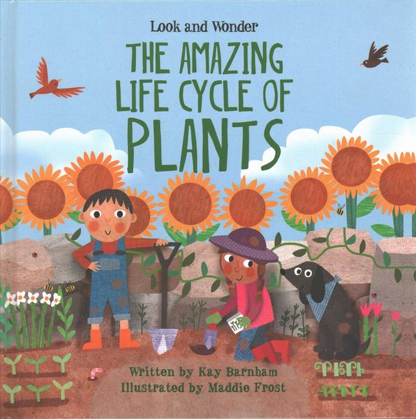 Produktbild: The Amazing Life Cycle of Plants