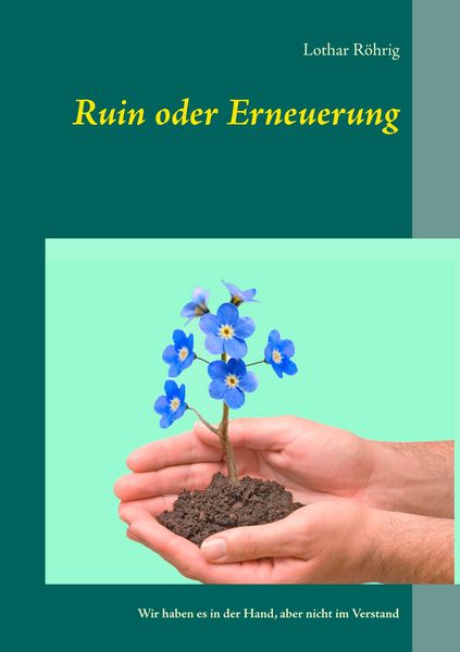 Produktbild: Ruin oder Erneuerung