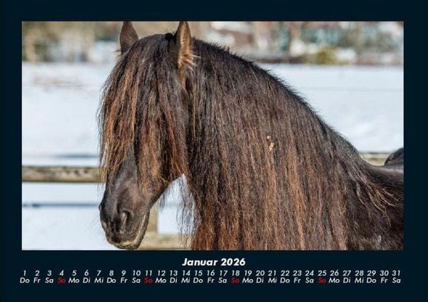 Produktbild: Die Welt der Pferde 2026 Fotokalender DIN A4