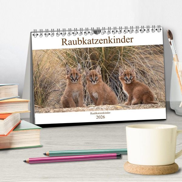 Produktbild: Raubkatzenkinder (Tischkalender 2026 DIN A5 quer), CALVENDO Monatskalender