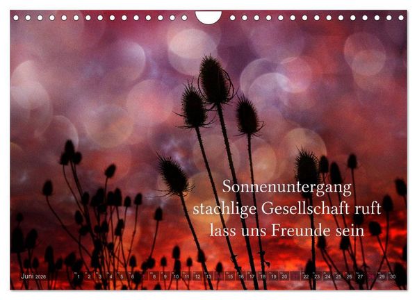 Produktbild: Haiku - Gedichte in 17 Silben (Wandkalender 2026 DIN A4 quer), CALVENDO Monatskalender