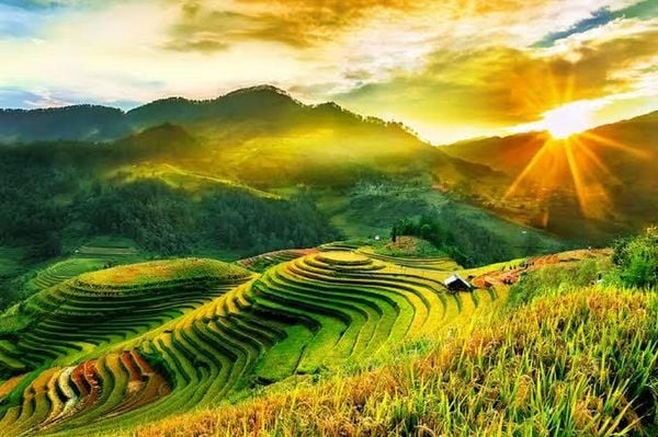 Produktbild: Wow Vietnam The Secrets of A Timeless Land