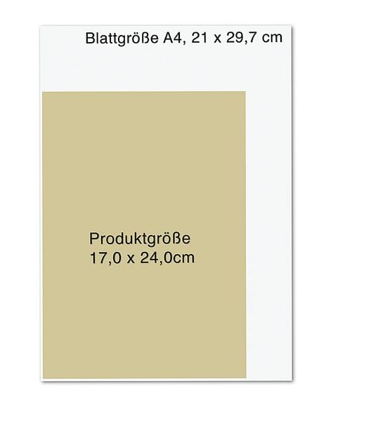 Produktbild: Die Wildpflanzen-Apotheke