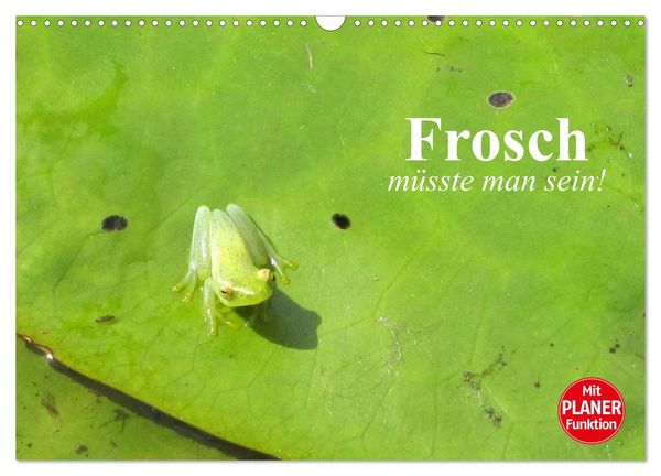 Produktbild: Frosch m&uuml;sste man sein! (Wandkalender 2026 DIN A3 quer), CALVENDO Monatskalender