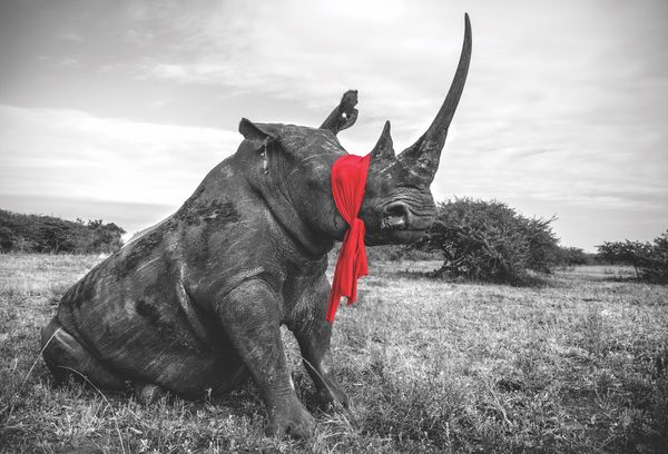 Produktbild: Die Seele Afrikas