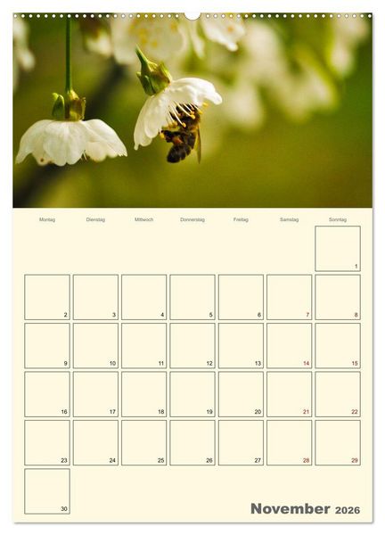 Produktbild: Bienen im Naturgarten (Wandkalender 2026 DIN A2 hoch), CALVENDO Monatskalender