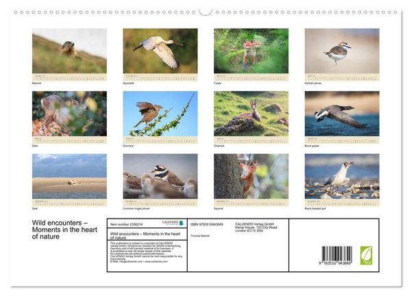 Produktbild: Wild encounters &ndash; Moments in the heart of nature (High Quality Premium Wall Calendar 2027 DIN A2 landscape),CALVENDO 12 Month Wall Calendar