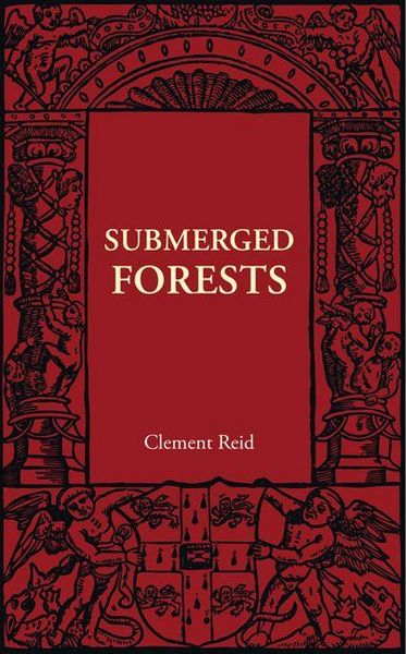 Produktbild: Submerged Forests