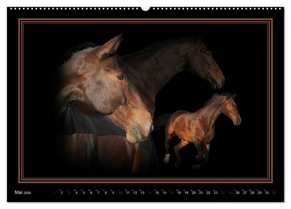 Produktbild: Traumpferde-ART-Collection (hochwertiger Premium Wandkalender 2026 DIN A2 quer), Kunstdruck in Hochglanz