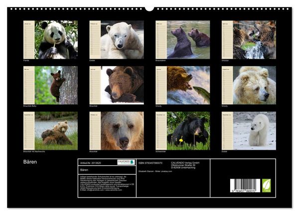 Produktbild: B&auml;ren (hochwertiger Premium Wandkalender 2026 DIN A2 quer), Kunstdruck in Hochglanz