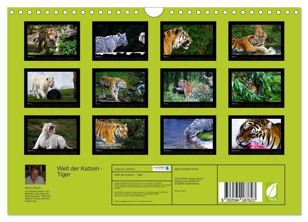 Produktbild: Welt der Katzen - Tiger (Wandkalender 2027 DIN A4 quer), CALVENDO Monatskalender
