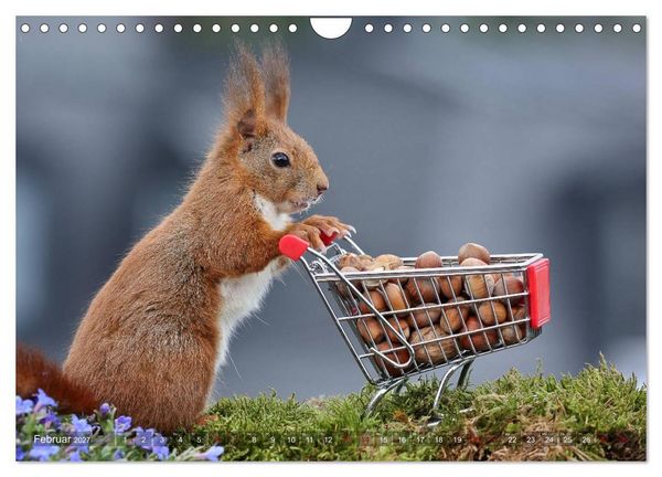 Produktbild: Eichh&ouml;rnchen Luna und ihre Kinder (Wandkalender 2027 DIN A4 quer), CALVENDO Monatskalender