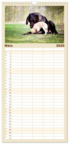 Produktbild: Familienplaner 2026 - Deutsche Doggen / Geburtstagskalender mit 5 Spalten (Wandkalender, 21 x 45 cm) CALVENDO