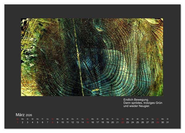 Produktbild: MAGIE HOLZ 2026 (Wandkalender 2026 DIN A3 quer), CALVENDO Monatskalender