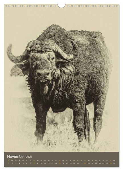 Produktbild: Afrikas Tierwelt - Sepia-Art (Wandkalender 2026 DIN A3 hoch), CALVENDO Monatskalender