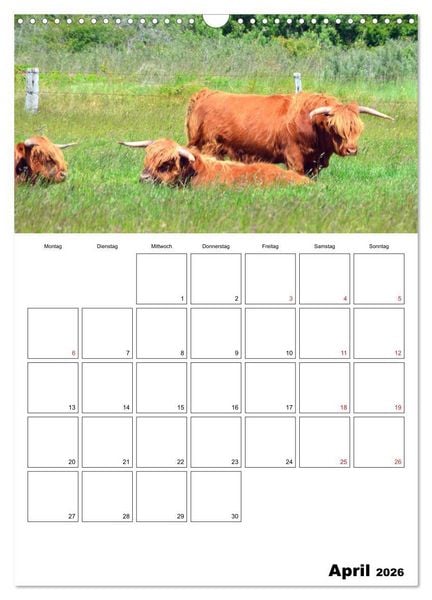 Produktbild: Langeoog - eine Trauminsel (Wandkalender 2026 DIN A3 hoch), CALVENDO Monatskalender