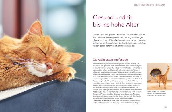 Produktbild: Das gro&szlig;e Wohnungskatzen-Wohlf&uuml;hl-Buch