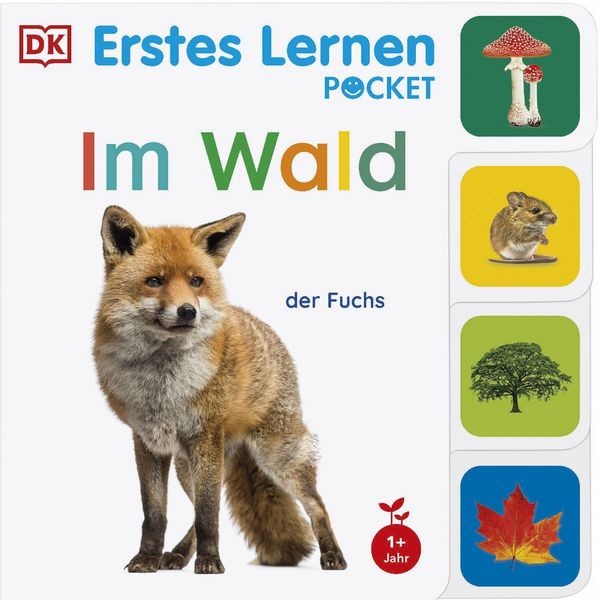 Produktbild: Erstes Lernen Pocket. Im Wald