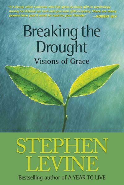 Produktbild: Breaking the Drought