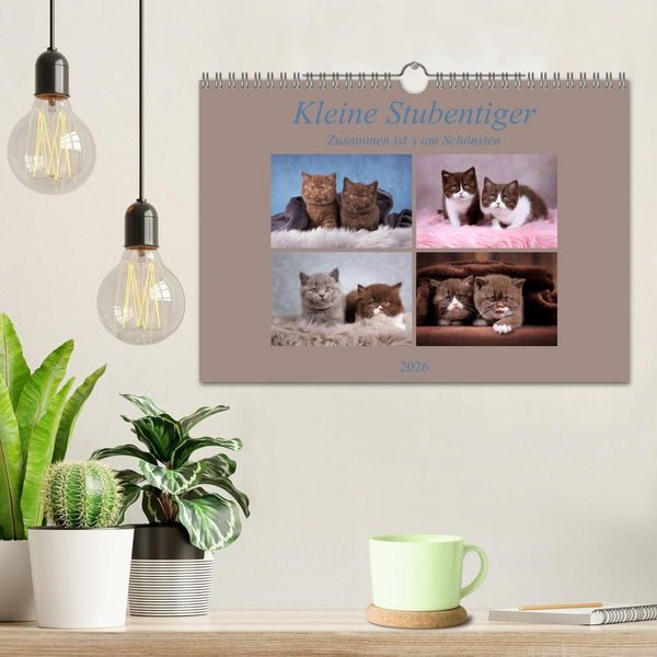 Produktbild: Kleine Stubenstiger (Wandkalender 2026 DIN A4 quer), CALVENDO Monatskalender