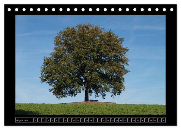 Produktbild: Odenwald - Landschaft sehen (Tischkalender 2026 DIN A5 quer), CALVENDO Monatskalender