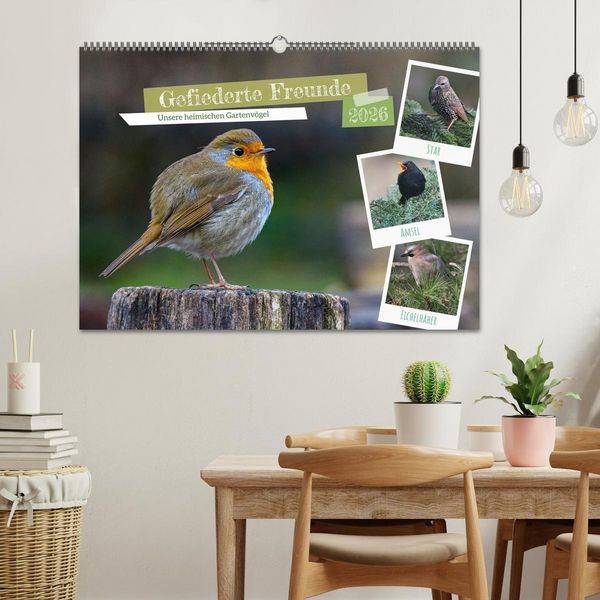 Produktbild: Gefiederte Freunde - Unsere heimischen Gartenv&ouml;gel (Wandkalender 2026 DIN A2 quer), CALVENDO Monatskalender