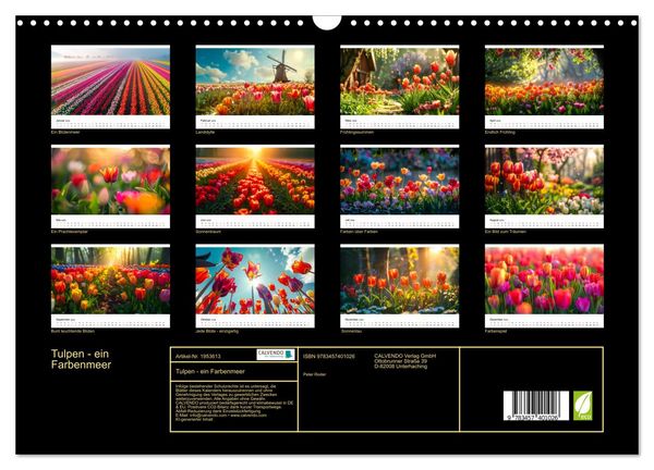 Produktbild: Tulpen - ein Farbenmeer (Wandkalender 2026 DIN A3 quer), CALVENDO Monatskalender