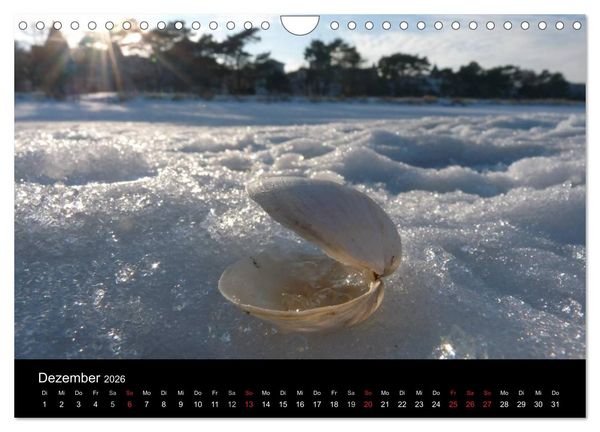 Produktbild: Die Ostsee - Ein Jahr am Meer (Wandkalender 2026 DIN A4 quer), CALVENDO Monatskalender