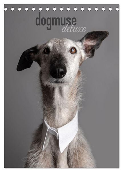 Produktbild: dogmuse deluxe (Tischkalender 2026 DIN A5 hoch), CALVENDO Monatskalender