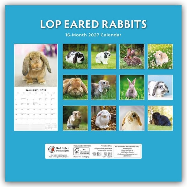 Produktbild: Long Eared Rabbits &ndash; Langohrhasen 2027 &ndash; 16-Monatskalender