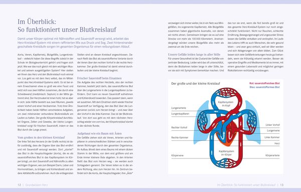 Produktbild: Die Ern&auml;hrungs-Docs &ndash; Starkes Herz